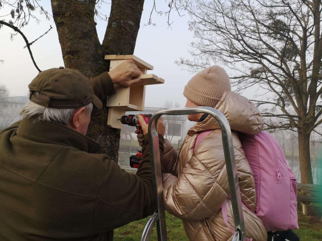 Umwelt und Natur heimische Vögel