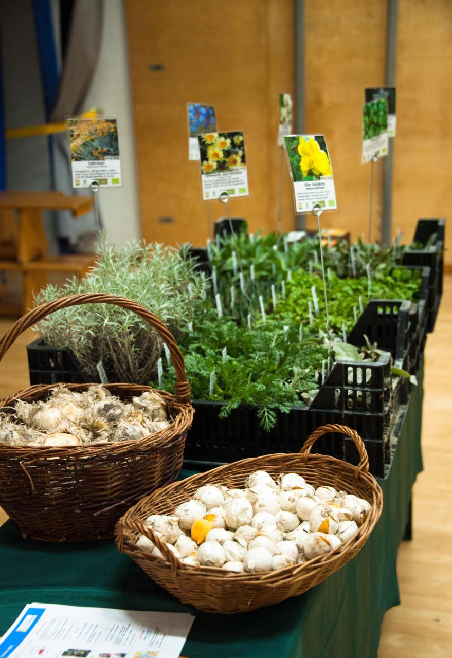 Vortrag Julia Wolf Garten der Zukunft