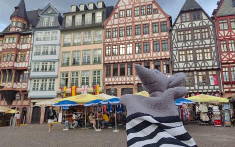 auf reisen