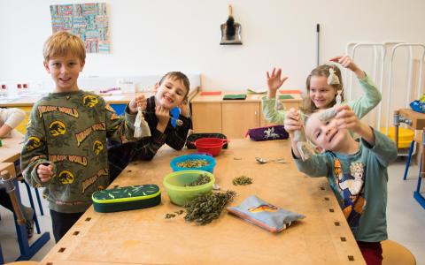 Kräuterworkshop