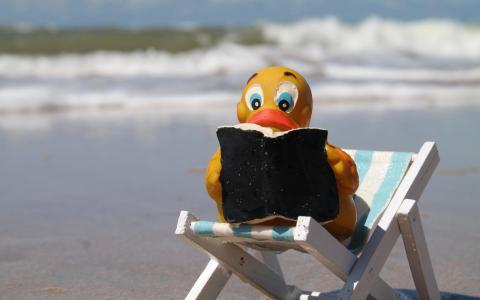 Ente